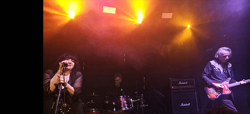 LIVE! VISTI E SENTITI LIVE! VISTI E SENTITI